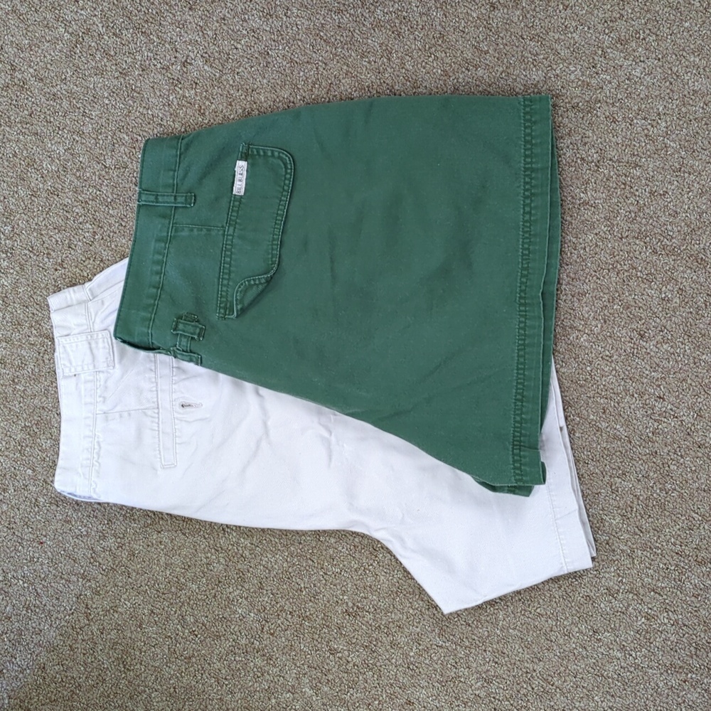 Bill Bass & Dress Barn shorts Lot of 2